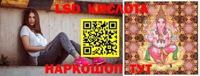 дурь Сланцы