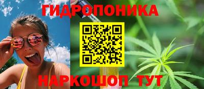 МДПВ Славгород