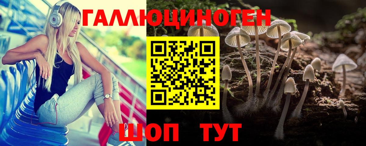 Псилоцибиновые грибы Psilocybe Новокубанск