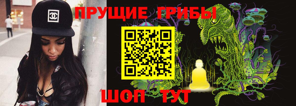 Новокубанск  Галлюциногенные грибы Psilocybine cubensis  Псилоцибиновые грибы мухоморы  купить наркотики сайты  Вход с VPN 